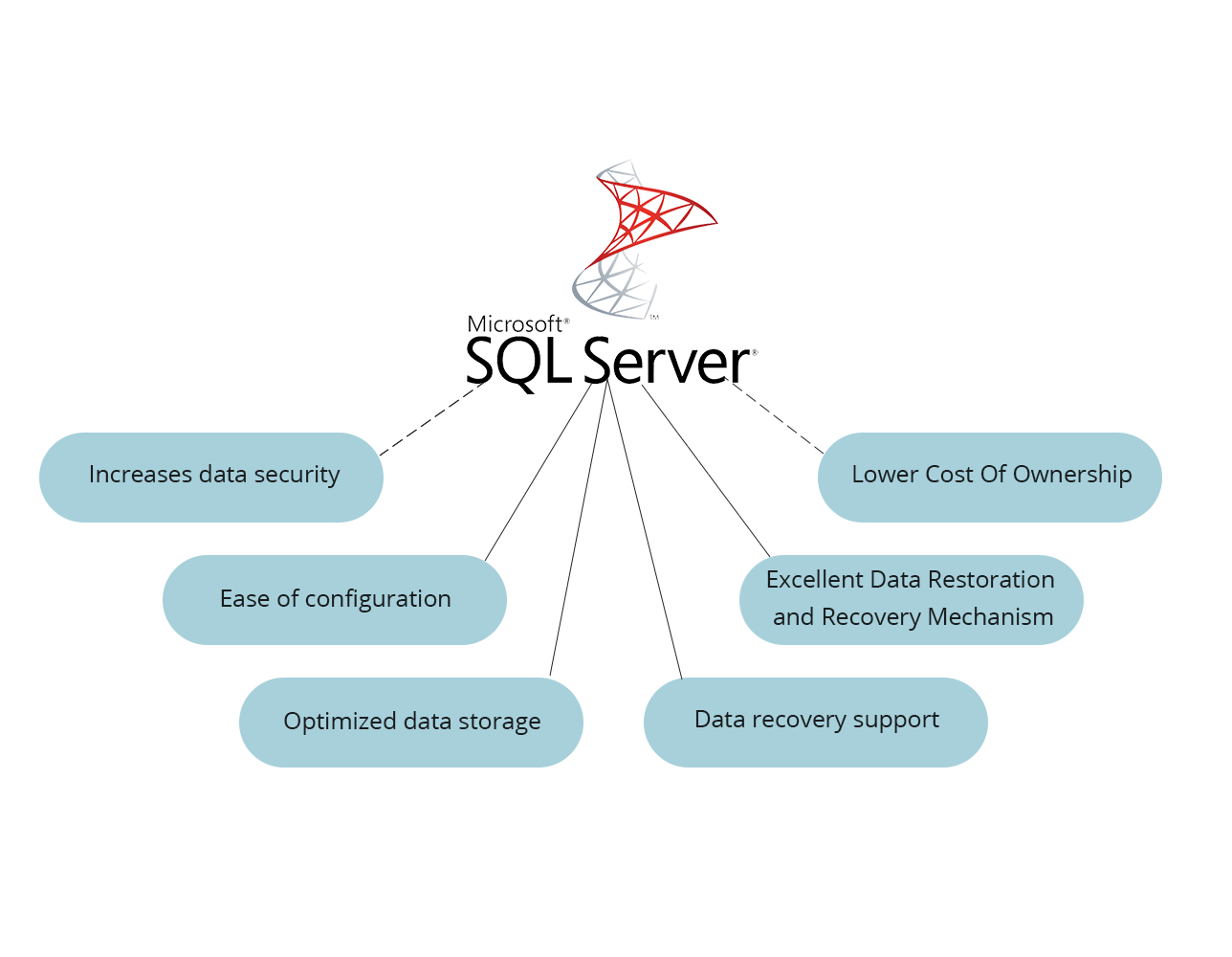 Microsoft Sql Database